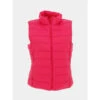 Doudoune Sans Manche Nora Lightweight Rose Femme - Jjxx 2 Doudoune Sans Manche Nora Lightweight Rose Femme - Jjxx -Le Dressing Parfait doudoune sans manche nora lightweight rose femme jjxx